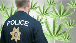 police, cannabis