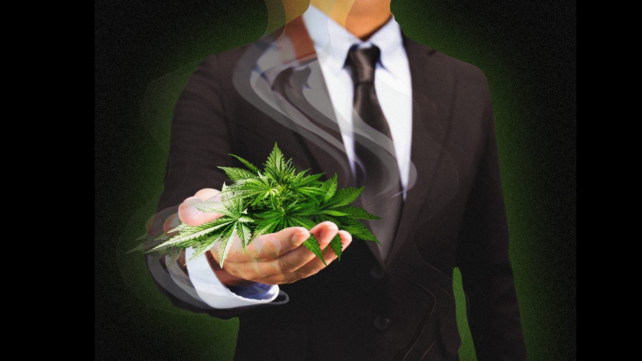 What do CEOs and C-Level Cannabis Executives Really Expect From Remediation Services?